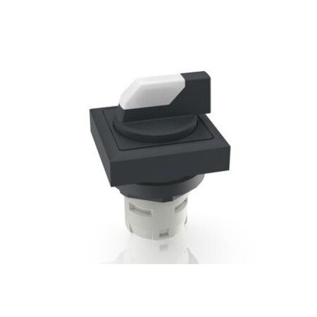 Rafi Rafix 16 Selector Switch 2X 1.30.073.740/0200